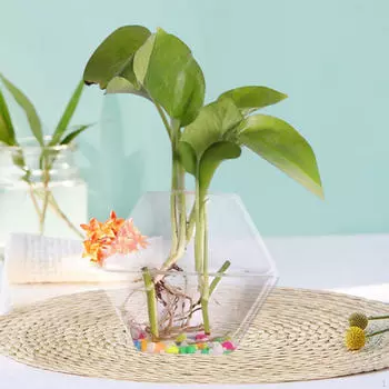 Настенный декор для сада, легко устанавливается для комнатных растений, стеклянная ваза, подвесные растения Mom Air