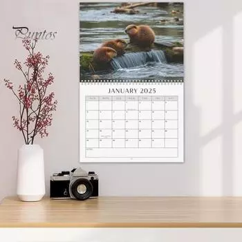 Настенный календарь 2025 года Beavers Настенный календарь Ежедневный ежемесячный планировщик для домашнего офиса Школьная организация Планирование A