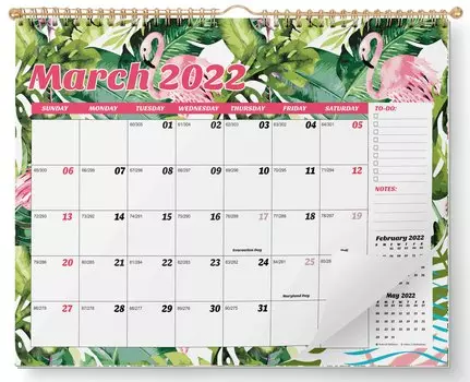 Настенный календарь Inkdotpot 11 x 8,5 - работает до декабря 2023 г. Подвесной ежемесячный календарь на спиральный переплет на 2022-2023 гг. для дома или офиса 11x8.5 inches зелёный