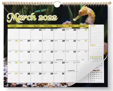 Настенный календарь Inkdotpot 11x8,5 – действует до декабря 2023 г. Ежемесячный календарь на 2022–2023 гг. 11x8.5 Inch белый