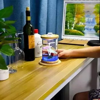 Настольная эко-бутылка Креативный офис Микрообзор Вращающийся аквариум для спальни Боевой мини-аквариум для маленьких рыбок украшение для аквариума