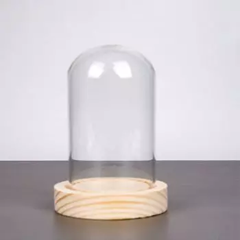 Настольная центральная композиция Стеклянный купол в форме колокола с деревянной основой Витрина-колокол Домашний декор 5.1x2.8Inch