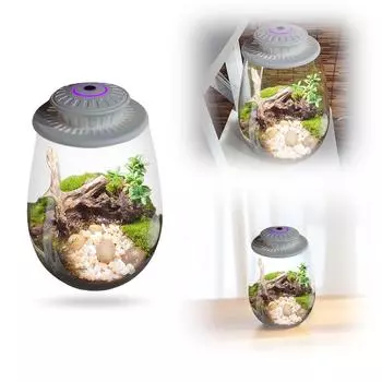 Настольный миниатюрный светильник для растений, папоротник, мох, микроландшафтный светильник для выращивания растений с таймером, светильник для выращивания растений в миниатюрном ландшафтном дизайне
