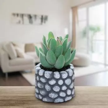 Настольный орнамент, моделирование бонсай, без полива, практические искусственные суккуленты, растения G