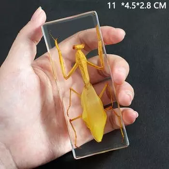 Настоящие научные учебные пособия Прозрачные украшения из кристаллической смолы One Size жёлтый