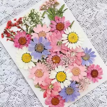 Настоящие прессованные цветы, сушеные прессованные цветы, сухие листья, набор натуральных трав для скрапбукинга, самодельные художественные поделки, эпоксидные формы для украшений, мыловарение розовый