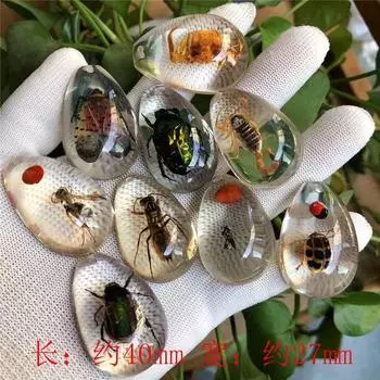 Настоящий образец светящегося янтаря в виде насекомого One Size белый