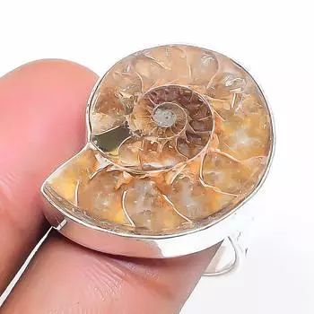 Natural Ammonite Fossil Gemstone 925 Sterling Silver Jewelry Ring Size 8 R6L89
