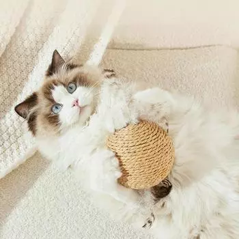 Natural cat ball cat scratching ball with sound interactive cat scratching ball toy large PET rolling ball pet cat