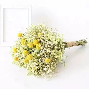 Natural Dried Flowers Gypsophila Bouquet Dried Flower Arrangement Floral Wedding High-quality Home Decoration Dried Flowering D