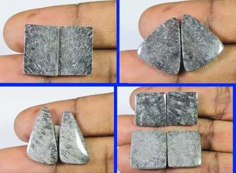 Лот из 4 пар натуральных ископаемых кораллов с кабошонами 17-19 мм RQ-989