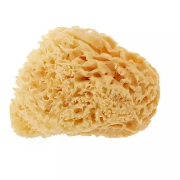 Натуральная губка сотового типа для тела, губка производства Bellini 14 см 16 см Натуральная губка производства Bellini, высшего качества, шелковистая, атопическая, сухая спина