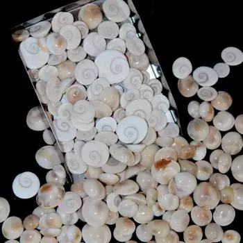 Натуральная исцеляющая оболочка глаза Шивы размером от 12 до 22 мм для изготовления ювелирных изделий, партия кабошонов 100 Carat Lot