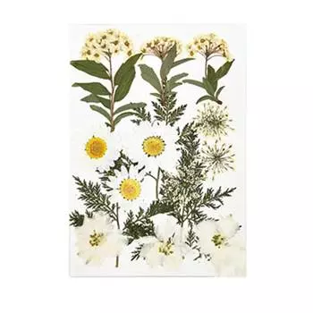 Натуральная смола сухие растения свадебное украшение для вечеринки украшение стола искусство ногтей прессованные цветы наклейки кулон ожерелье