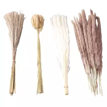 Натуральная сушеная пампасная трава пушистая 15 шт., белые пампасы 15 шт., коричневые пампасы 50 шт., трава «кроличий хвост»