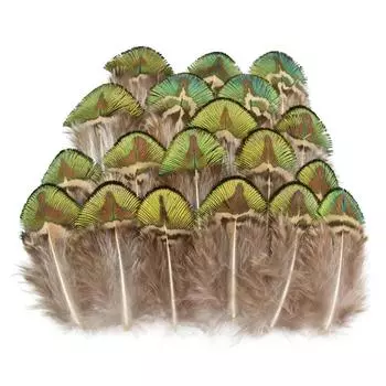 Натуральные маленькие золотые павлиньи перья для изготовления ювелирных изделий, поделки 3-7 см, аксессуары для рукоделия, перья, карнавальные шлейфы 50pcs