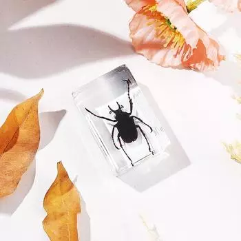 Натуральные образцы насекомых, смоляные скарабеи, украшения для дома, фигурки жуков, подарки для экологов, украшения для дома и офиса A2