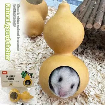 Натуральные тыквы, избегающие гнезд хомяков, игрушка для домашних животных, украшение в виде золотого медведя, удобный дом, доступный круглый год, товары для домашних животных S