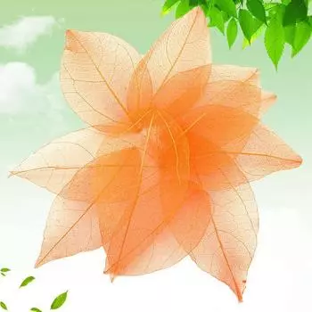 Натуральный алмазный тиснение вен, материал ручной работы, сухоцветы, тиснение, орнамент, аксессуары, 30 шт., чехол для телефона «сделай сам» 4-9cm белый