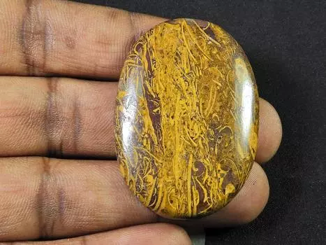 ?Натуральный ископаемый кабошон из многоцветного камня россыпью 33X46X06 мм SK-1092