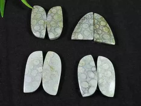 Натуральный ископаемый коралл, пара, фантазийный кабошон, драгоценный камень, 4 пары, 76 карат. РК-3088