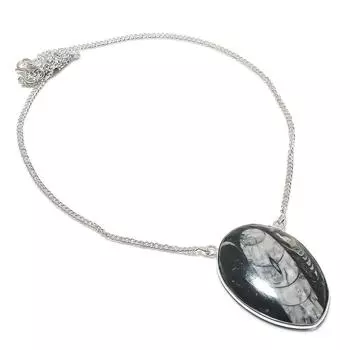 Натуральный окаменелый драгоценный камень Orthoceras из стерлингового серебра 925 пробы, ожерелье 18 дюймов G3l01