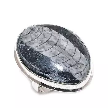 Натуральный Orthoceras Fossil ювелирное изделие из стерлингового серебра 925 пробы размер 8.5 D3k82