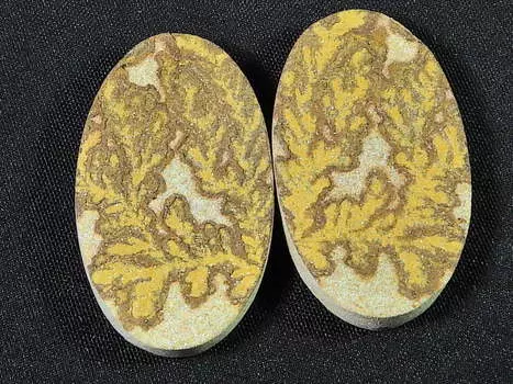 Натуральный псиломелан германовый дендрит пара сережек камень 17X18X03 MM SK-780