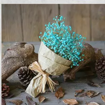 Натуральный сушеный цветок Babys Breath Домашний декор Натуральный сушеный цветок Полные звезды One Size синий