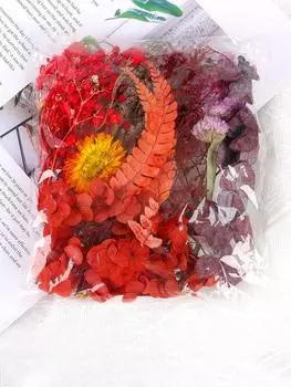Natural Plants Dried Starry Sky Flowers Preserved Materials Kit Epoxy Resin Candles Soap DIY Floral Materials Set Dried Flowers красный