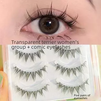 Natural V-Shaped False Eyelashes - Soft, Transparent Band, 5 Pairs