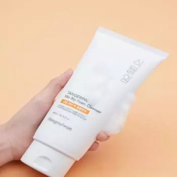 Nature Republic Shingmulwon Citrus Vita Big Foam Cleanser