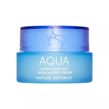 Nature Republic Увлажняющий крем Super Aqua Max 80 мл, 1 шт.