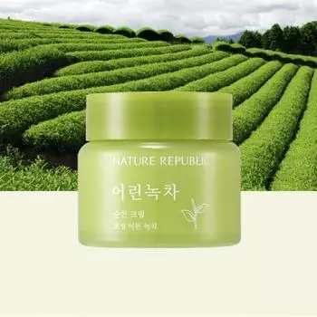 Nature Republic Young Green Tea Мягкий крем 55 мл НОВИНКА