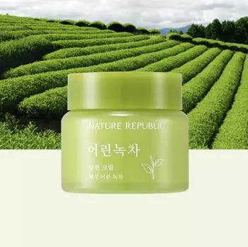 Nature Republic Young Green Tea Мягкий крем 55 мл НОВИНКА