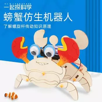 Научный эксперимент DIY Бионический механический краб Детские игрушки ручной работы Физические материалы Технология Мелкое производство древесина
