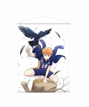 НАВЕРХ Shoyo Hinata 100 см Гобелен 100 см x 75 см Haikyu!! Прибл.