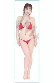 Наволочка для подушки Saki Yanase Regular Edition 2nd Body 170x50 см в натуральную величину