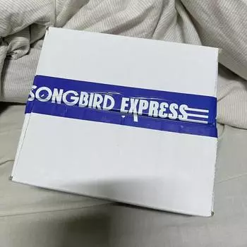Ncitywish Songbird Express Неоткрытый Songbird Express Nwish