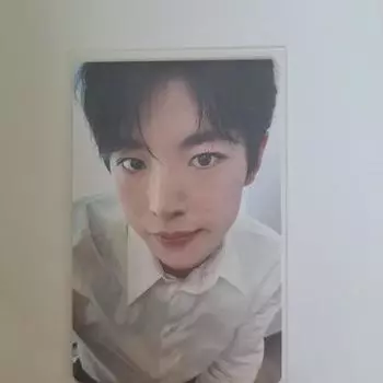 Ncitywish Yuushi Poka Music Art Microphoto Songbird Photo Card