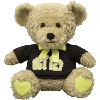 Nct 127 Loveholic Teddy Bear Bear