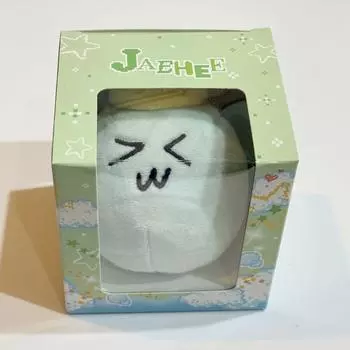 NCT WISH JAEHEE Войти Официальный MD Mascot Брелок для ключей Мягкий ASIA TOUR JAPAN Limited Новый