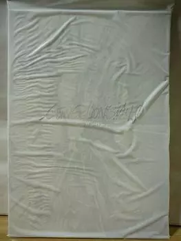 Неиспользованное Shin Evangelion Theatrical Edition EVANGELION Официальная брошюра для театра Синдзи Икари Рей Аянами Аска Шикинами Мари Мисато Каору