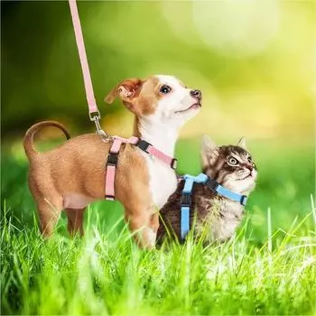 Нейлоновая шлейка для домашних животных, регулируемая шлейка для собак, тяговый трос, товары для животных, жилет для домашних животных, ремень для собак белый