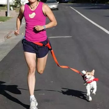 Нейлоновый поводок для собак с регулируемым тяговым воротником. Длина ремня: 78-140 см. Цвета как на фотографии