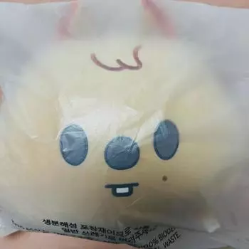 Неоткрытый) Корейская подушка Quoca Straykids Han Ji Sung Skzoo