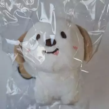 Нераспечатанная кукла Dragon Riize Chanyoung 10 см