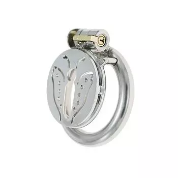 Нержавеющая сталь бабочка целомудрие очиститель мужской целомудрие замок пенис клетка плоский замок взрослые принадлежности секс инструменты для выхода в свет Small set/Configuration40