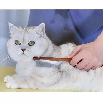 Нержавеющая сталь для собак, домашних животных, домашних собак, аксессуары для ухода за кошками, удаление вшей, блох, гребень, очиститель для длинных волос, инструмент для дома и принадлежностей XS