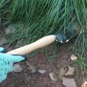 Нержавеющая стальная кельма для сада, маленькая ручная лопатка для цветов, совок для горшечных культур с деревянной ручкой, садовые инструменты для бонсай